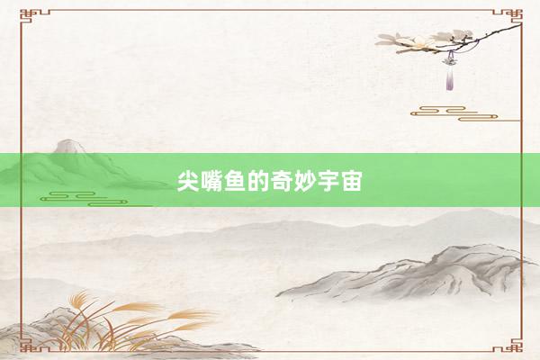 尖嘴鱼的奇妙宇宙