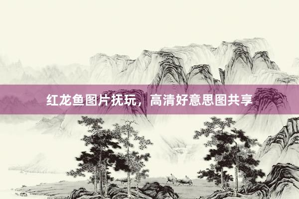 红龙鱼图片抚玩，高清好意思图共享